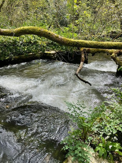 River Allen